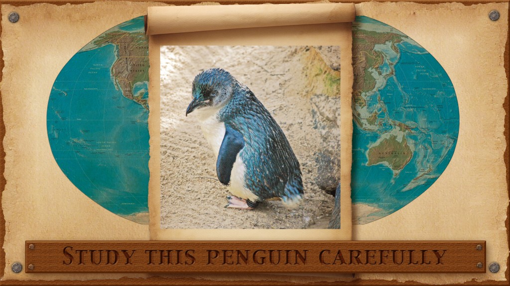 penguin-hide1
