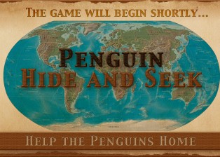 penguin-hide4